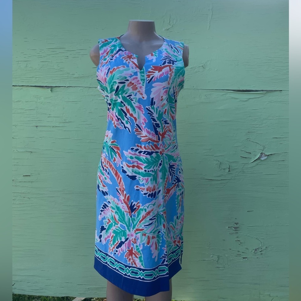 Barbara Erickson dress